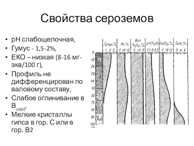 Свойства сероземов рН слабощелочная, Гумус - 1,5-2%, ЕКО – низкая (8-16