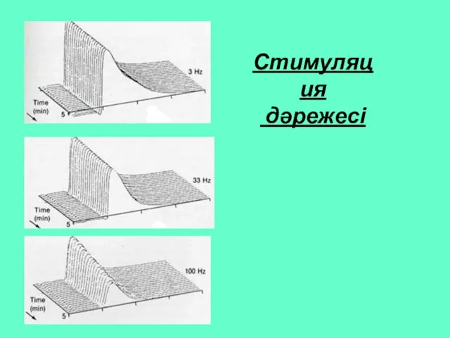 Стимуляция дәрежесі