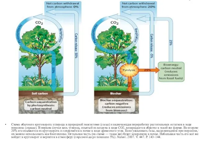 Схема обычного круговорота углерода в природной экосистеме (слева) и включающая переработку