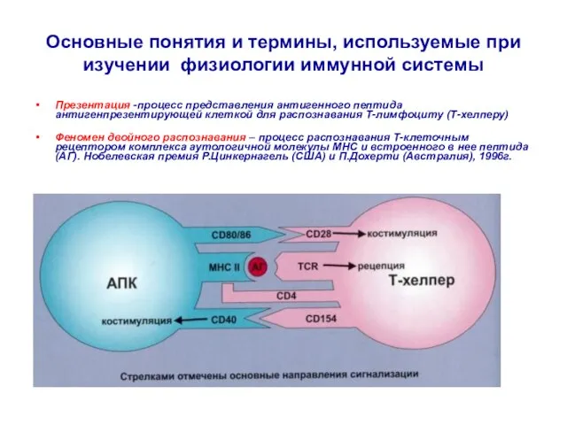 Основные понятия и термины, используемые при изучении физиологии иммунной системы Презентация