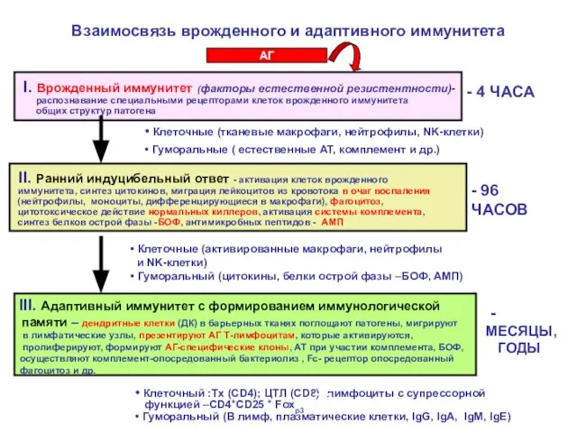 Взаимосвязь врожденного и адаптивного иммунитета I. Врожденный иммунитет (факторы естественной резистентности)-