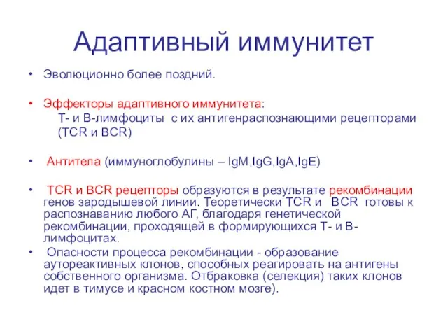 Адаптивный иммунитет Эволюционно более поздний. Эффекторы адаптивного иммунитета: Т- и В-лимфоциты