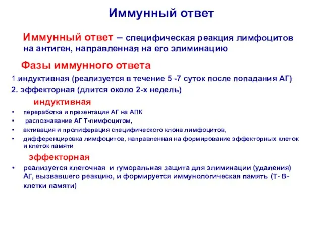 Иммунный ответ Иммунный ответ – специфическая реакция лимфоцитов на антиген, направленная