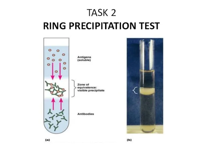 TASK 2 RING PRECIPITATION TEST