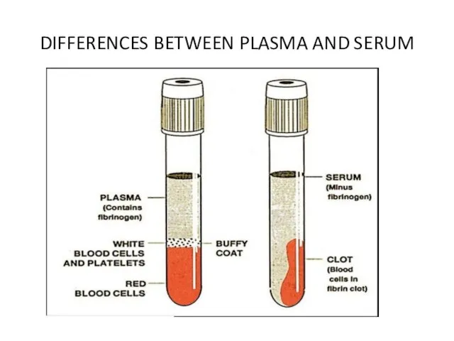 DIFFERENCES BETWEEN PLASMA AND SERUM