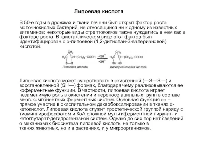 Липоевая кислота В 50-е годы в дрожжах и ткани печени был