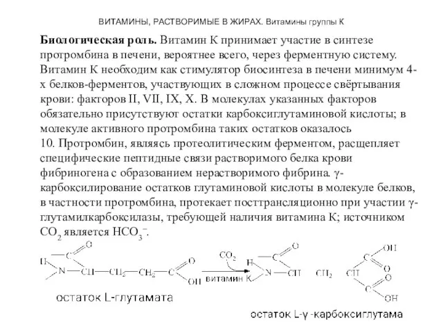 ВИТАМИНЫ, РАСТВОРИМЫЕ В ЖИРАХ. Витамины группы К Биологическая роль. Витамин К