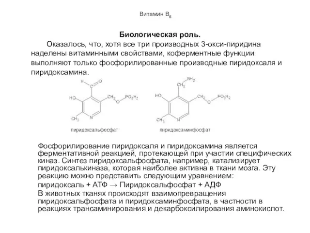 Витамин В6 Фосфорилирование пиридоксаля и пиридоксамина является ферментативной реакцией, протекающей при