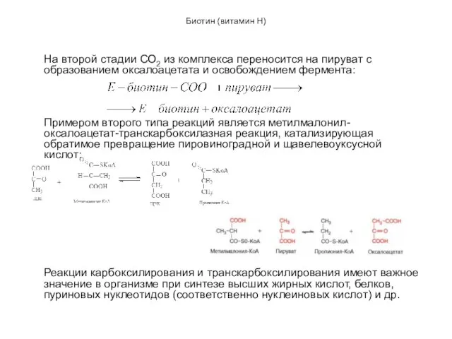 Биотин (витамин Н) На второй стадии СО2 из комплекса переносится на