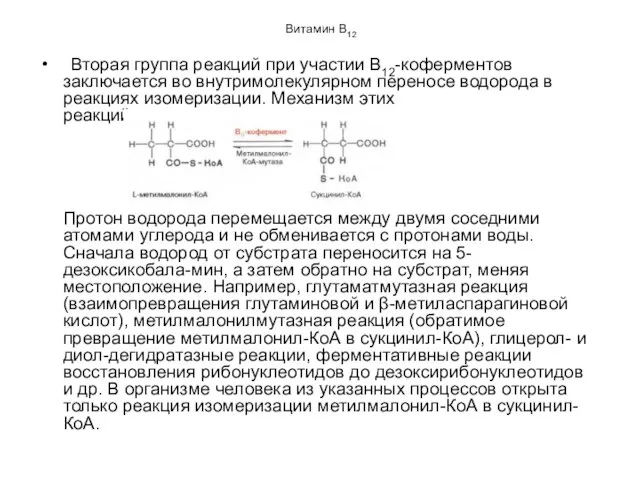 Витамин В12 Вторая группа реакций при участии В12-коферментов заключается во внутримолекулярном