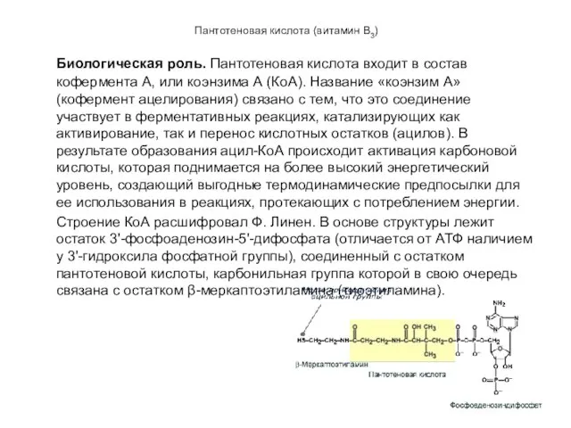 Пантотеновая кислота (витамин В3) Биологическая роль. Пантотеновая кислота входит в состав