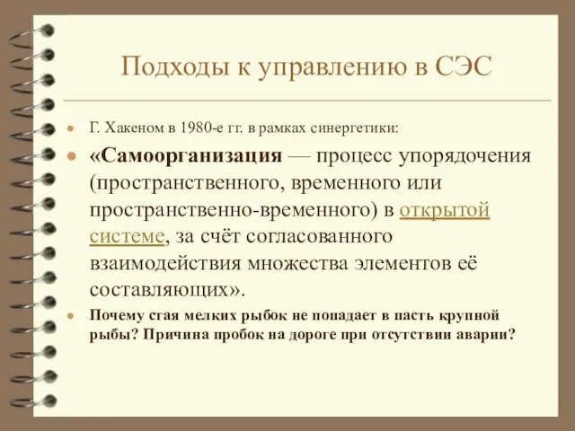 Подходы к управлению в СЭС Г. Хакеном в 1980-е гг. в