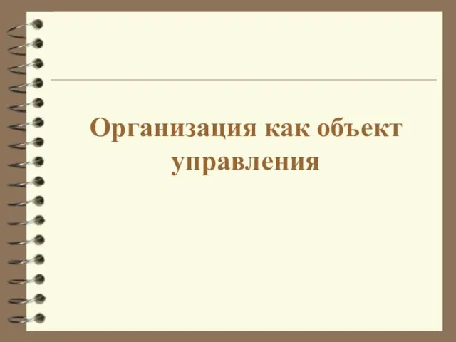 Организация как объект управления