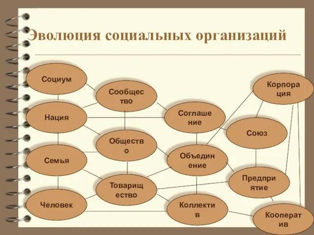 Эволюция социальных организаций Семья Нация Коллектив Человек Сообщество Общество Товарищество Объединение