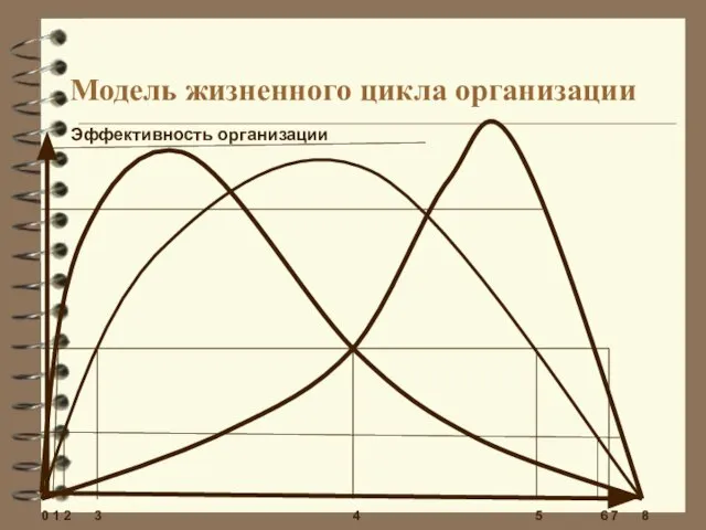 Модель жизненного цикла организации Эффективность организации 0 1 2 3 4 5 6 7 8