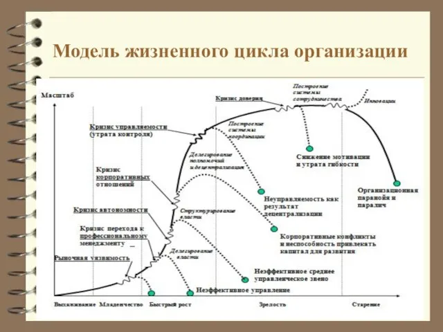 Модель жизненного цикла организации