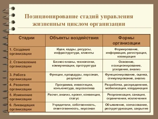 Позиционирование стадий управления жизненным циклом организации