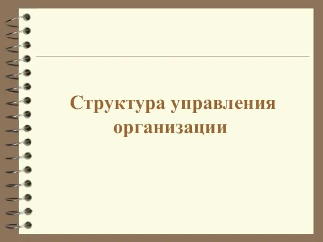 Структура управления организации