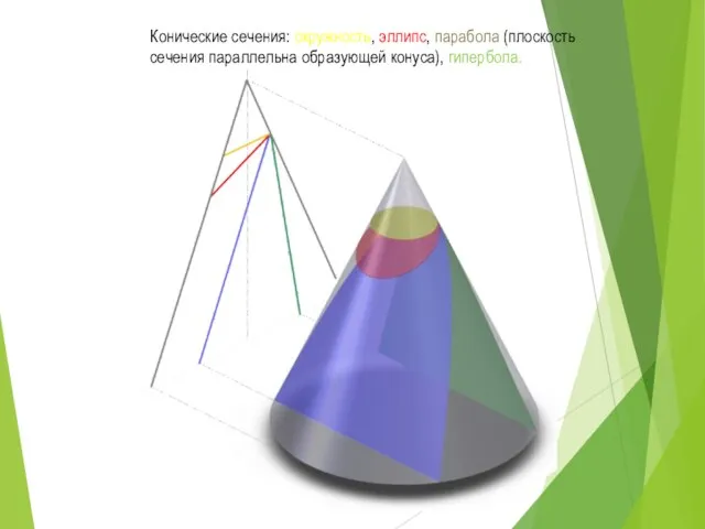 Конические сечения: окружность, эллипс, парабола (плоскость сечения параллельна образующей конуса), гипербола.