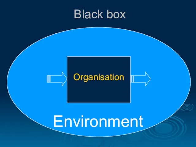 Black box Organisation Environment