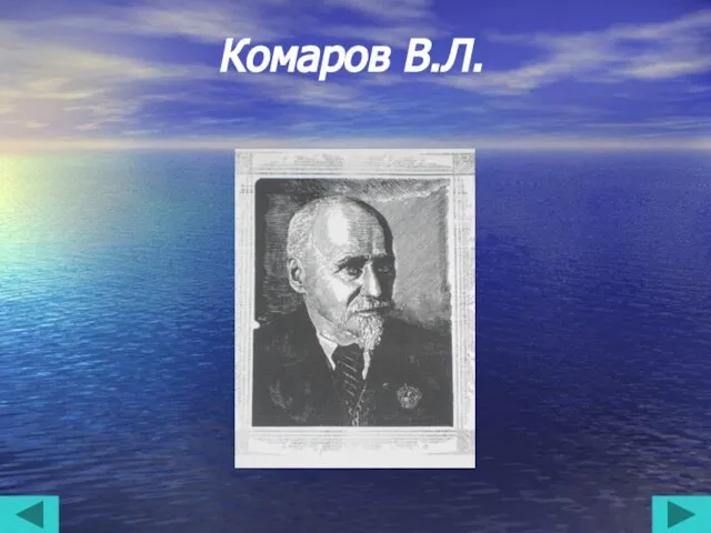 Комаров В.Л.