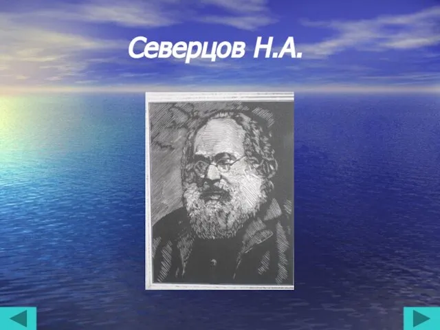 Северцов Н.А.