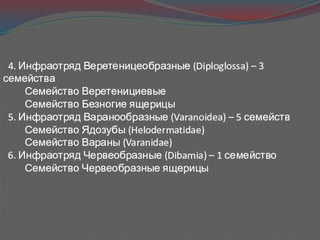 4. Инфраотряд Веретеницеобразные (Diploglossa) – 3 семейства Семейство Веретенициевые Семейство Безногие