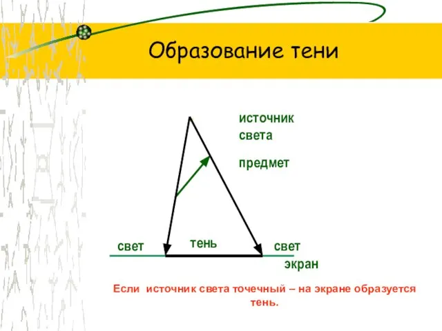 Образование тени источник света предмет экран свет свет тень Если источник