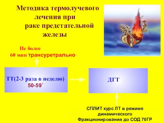 ДГТ Методика термолучевого лечения при раке предстательной железы Не более 60