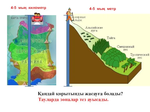 Тауларда зоналар тез ауысады. 4-5 мың километр 4-5 мың метр Қандай қорытынды жасауға болады?