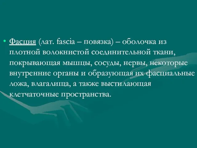 Фасция (лат. fascia – повязка) – оболочка из плотной волокнистой соединительной