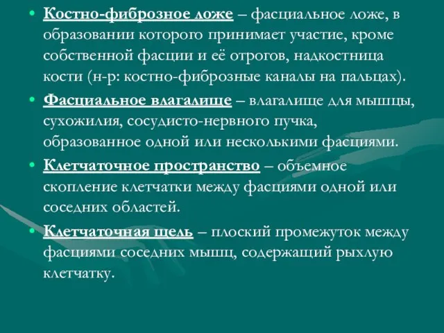 Костно-фиброзное ложе – фасциальное ложе, в образовании которого принимает участие, кроме