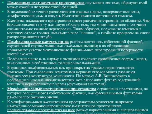 Подкожные клетчаточные пространства окутывают все тело, образуют слой между кожей и