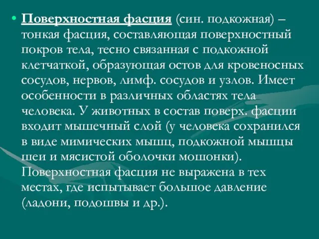 Поверхностная фасция (син. подкожная) – тонкая фасция, составляющая поверхностный покров тела,