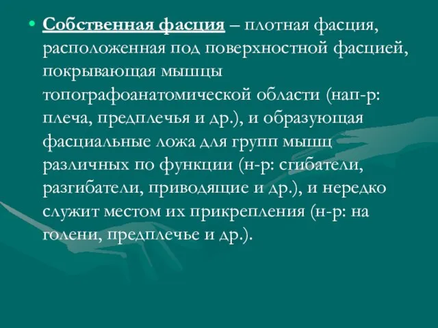 Собственная фасция – плотная фасция, расположенная под поверхностной фасцией, покрывающая мышцы