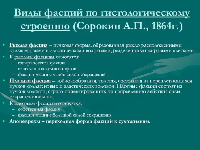 Виды фасций по гистологическому строению (Сорокин А.П., 1864г.) Рыхлая фасция –