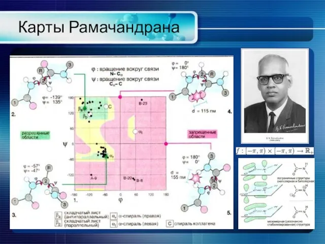 Карты Рамачандрана Общая карта Рамачандрана не очень отличается от такой же,