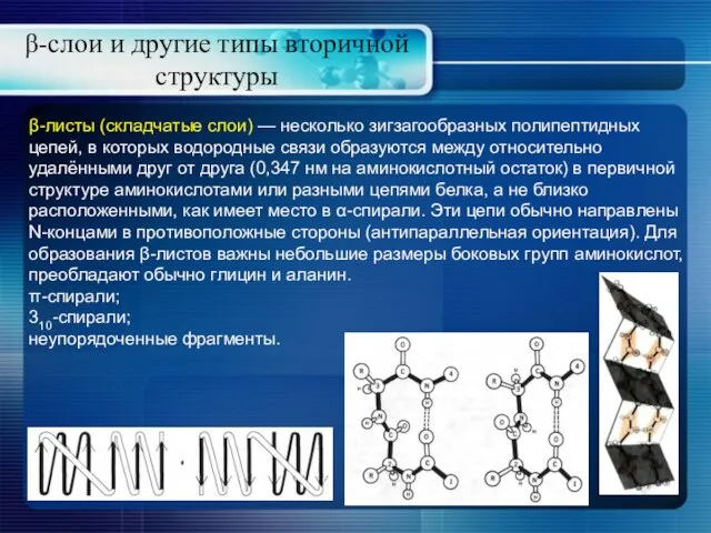 β-слои и другие типы вторичной структуры β-листы (складчатые слои) — несколько