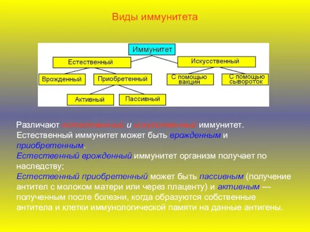 Виды иммунитета Различают естественный и искусственный иммунитет. Естественный иммунитет может быть