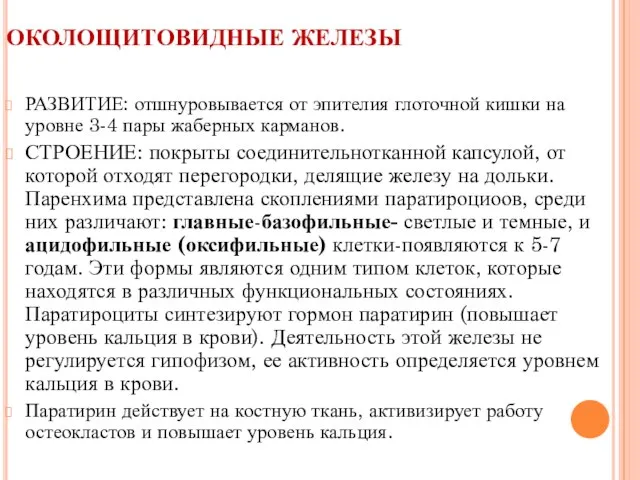 ОКОЛОЩИТОВИДНЫЕ ЖЕЛЕЗЫ РАЗВИТИЕ: отшнуровывается от эпителия глоточной кишки на уровне 3-4