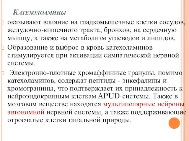 Катехолоамины оказывают влияние на гладкомышечные клетки сосудов, желудочно-кишечного тракта, бронхов, на