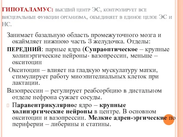 ГИПОТАЛАМУС: высший центр ЭС, контролирует все висцеральные функции организма, объединяет в