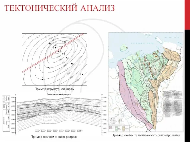 ТЕКТОНИЧЕСКИЙ АНАЛИЗ Пример геологического разреза Пример структурной карты Пример схемы тектонического районирования