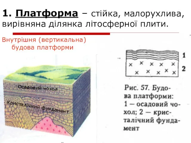 1. Платформа – стійка, малорухлива, вирівняна ділянка літосферної плити. Внутрішня (вертикальна)