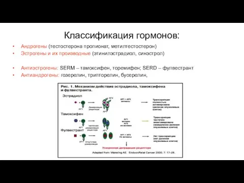 Классификация гормонов: Андрогены (тестостерона пропионат, метилтестостерон) Эстрогены и их производные (этинилэстрадиол,