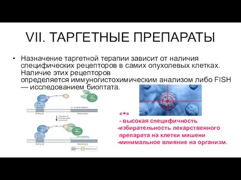 VII. ТАРГЕТНЫЕ ПРЕПАРАТЫ Назначение таргетной терапии зависит от наличия специфических рецепторов