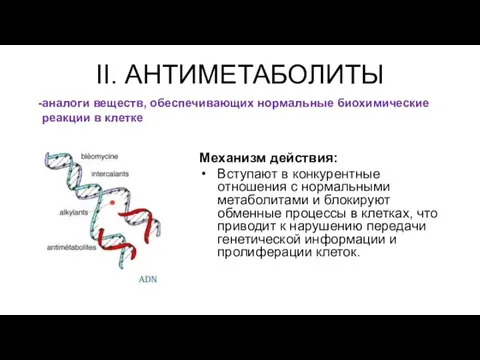 II. АНТИМЕТАБОЛИТЫ Механизм действия: Вступают в конкурентные отношения с нормальными метаболитами