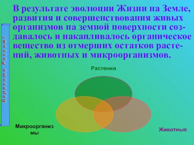 В результате эволюции Жизни на Земле, развития и совершенствования живых организмов