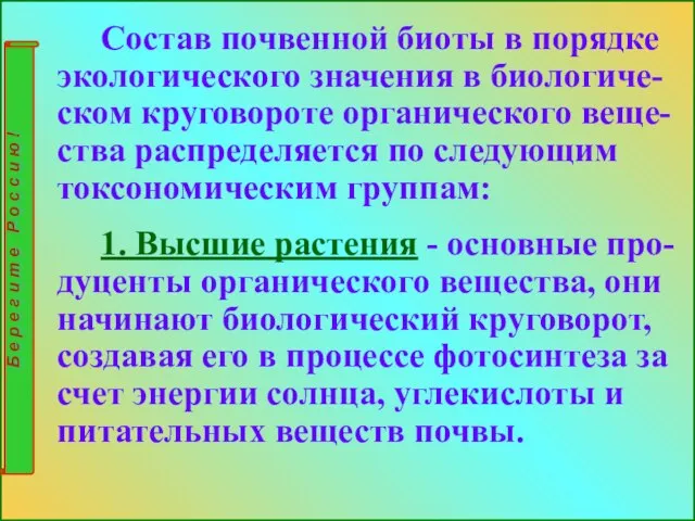 Состав почвенной биоты в порядке экологического значения в биологиче-ском круговороте органического