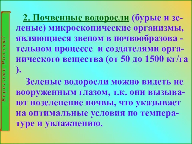 2. Почвенные водоросли (бурые и зе-леные) микроскопические организмы, являющиеся звеном в